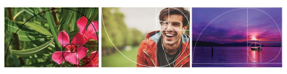 Nhiếp ảnh và tỷ lệ vàng