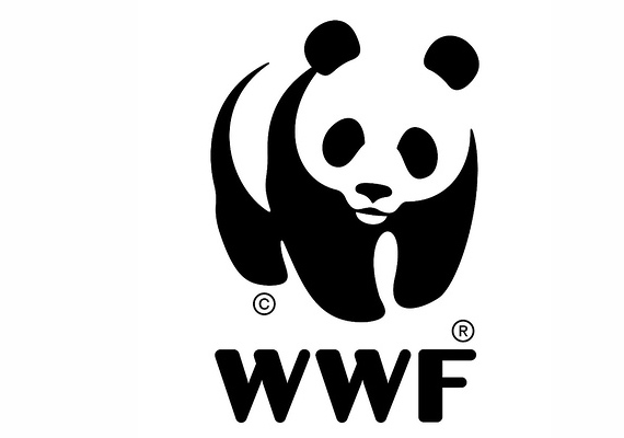 công ty thiết kế logo