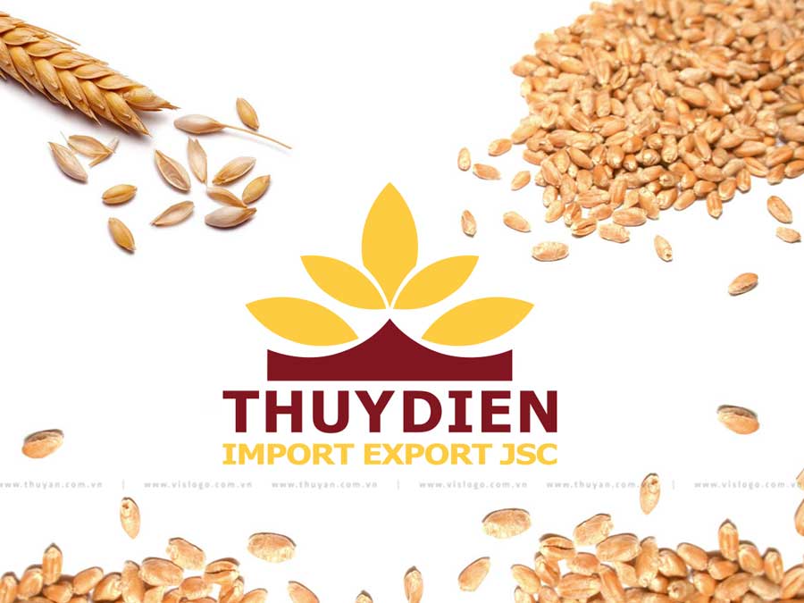 Đồ chơi gỗ - Xâu vòng trang sức đồng hồ