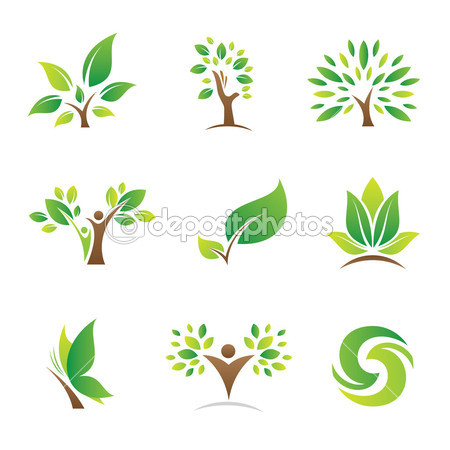 thiết kế logo theo phong thủy 3