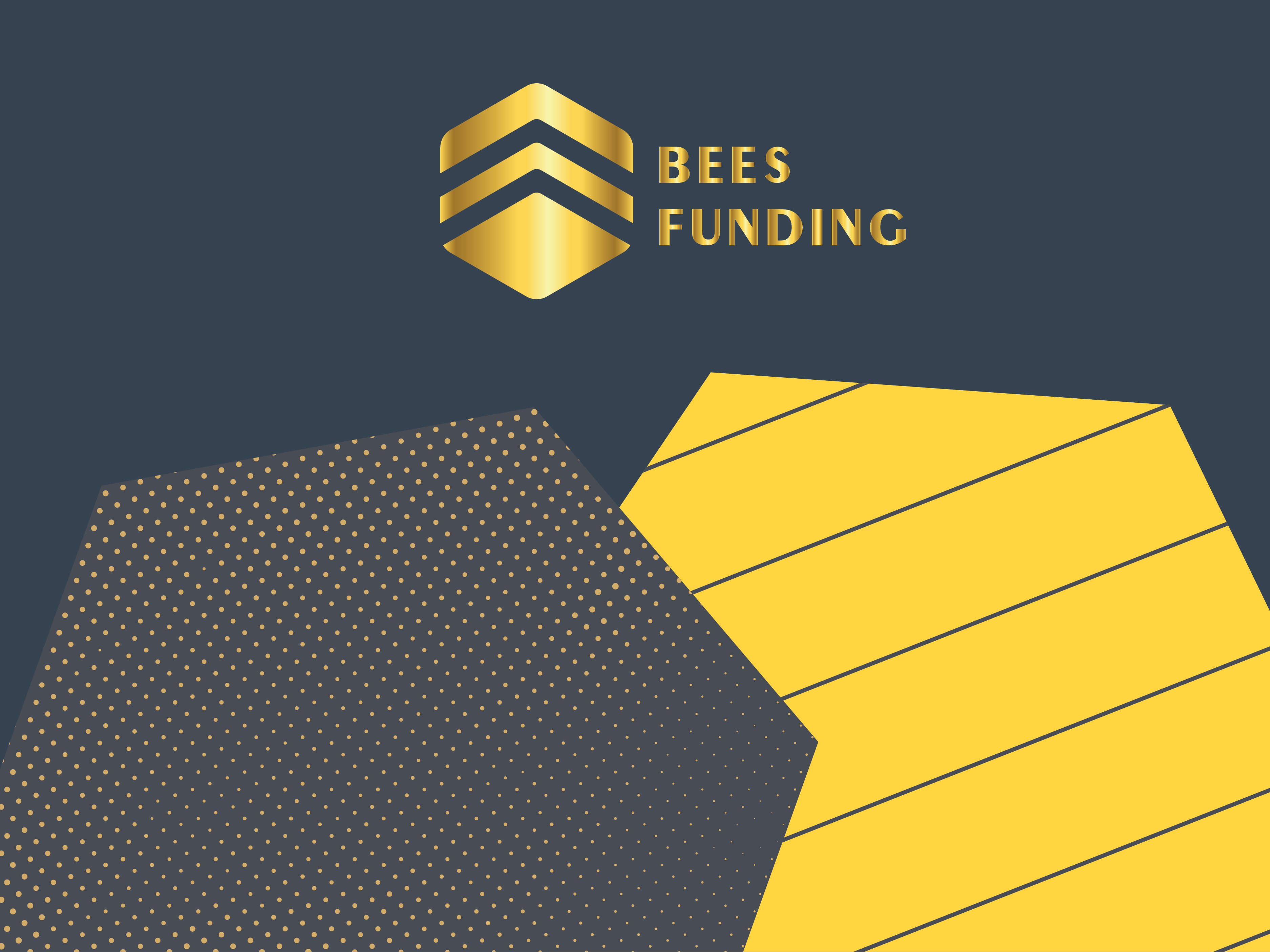 Thiết kế logo, nhận diện thương hiệu BEESFUNDING
